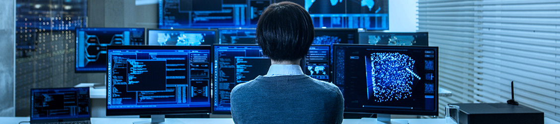 Multi Display Solutions