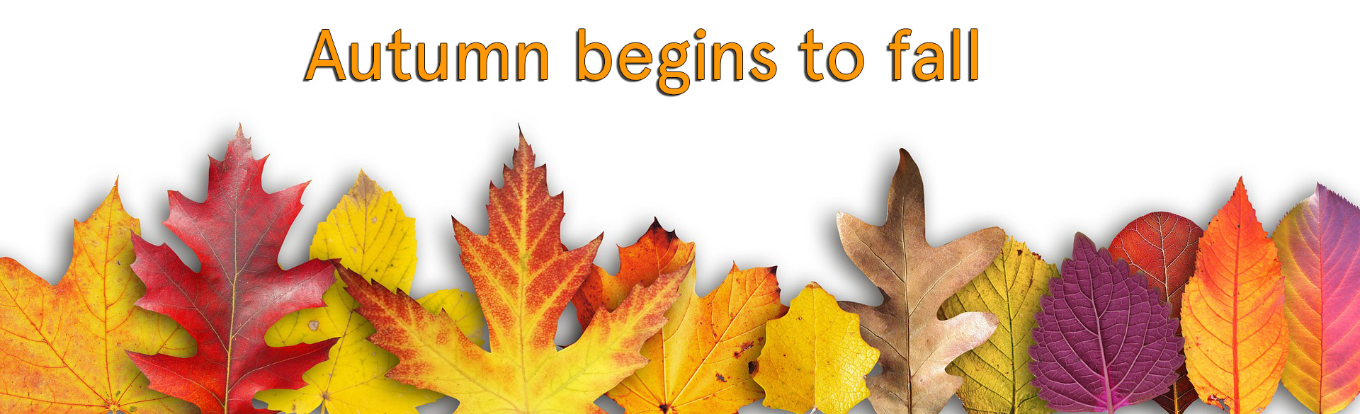 Autumn begins to fall
