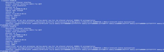 Intel E825C QSFP lshw output